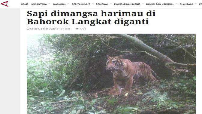 Artikel Harimau Artikel Harimau
