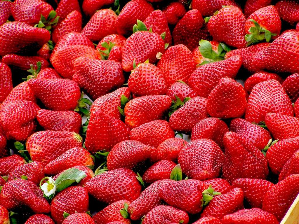 Stroberi