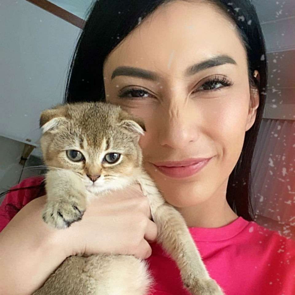 Kucing Tya Mirasih