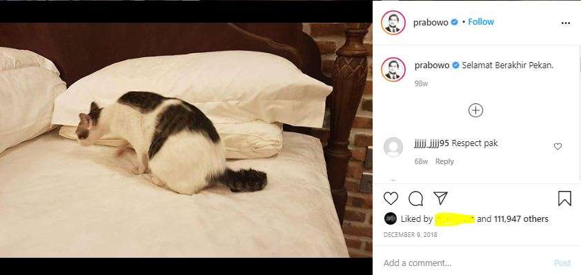 Bobby Kucing Prabowo