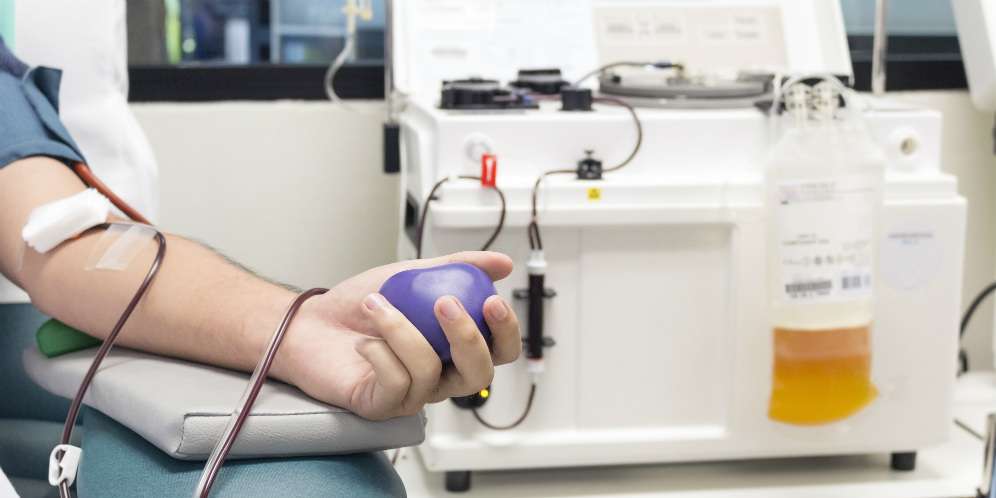 Donor plasma Donor plasma