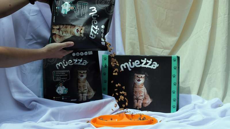 Muezza