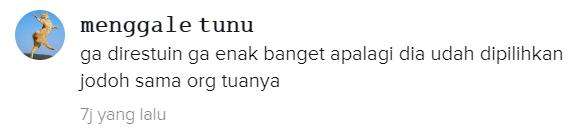 Tidak dapat restu memang menyakitkan.