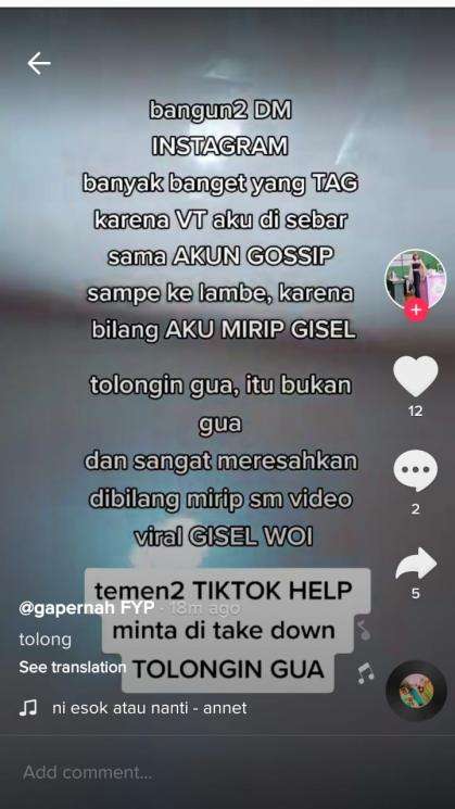 Unggahan TikTok