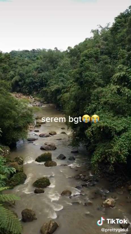 Nyasar