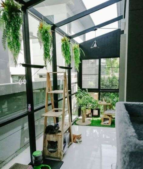Rumah kucing