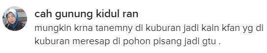 Mungkin karena tumbuhnya di kuburan kali ya?