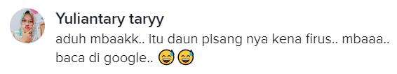 Katanya sih ini daun pisang kena virus?