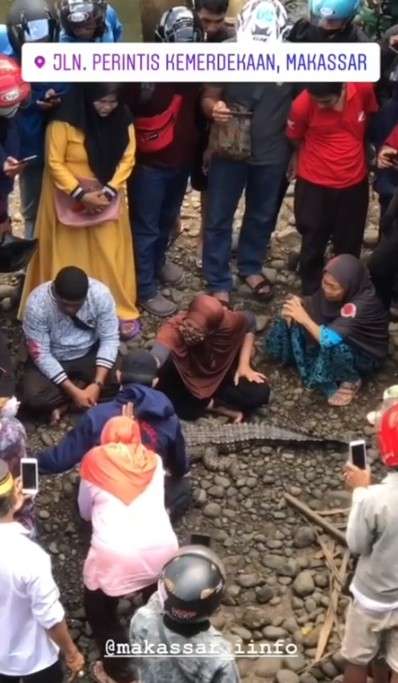 Buaya Jadi-jadian
