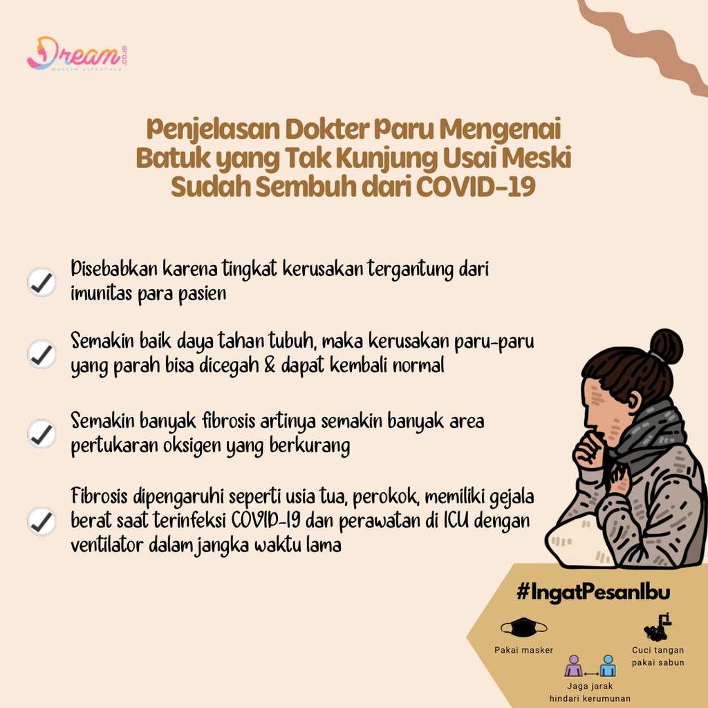 Infografis Dream.co.id