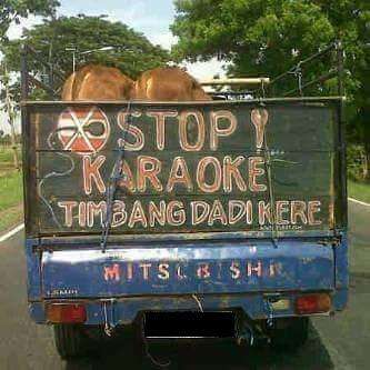 Betul! Mending uangnya ditabung ya, Bang.