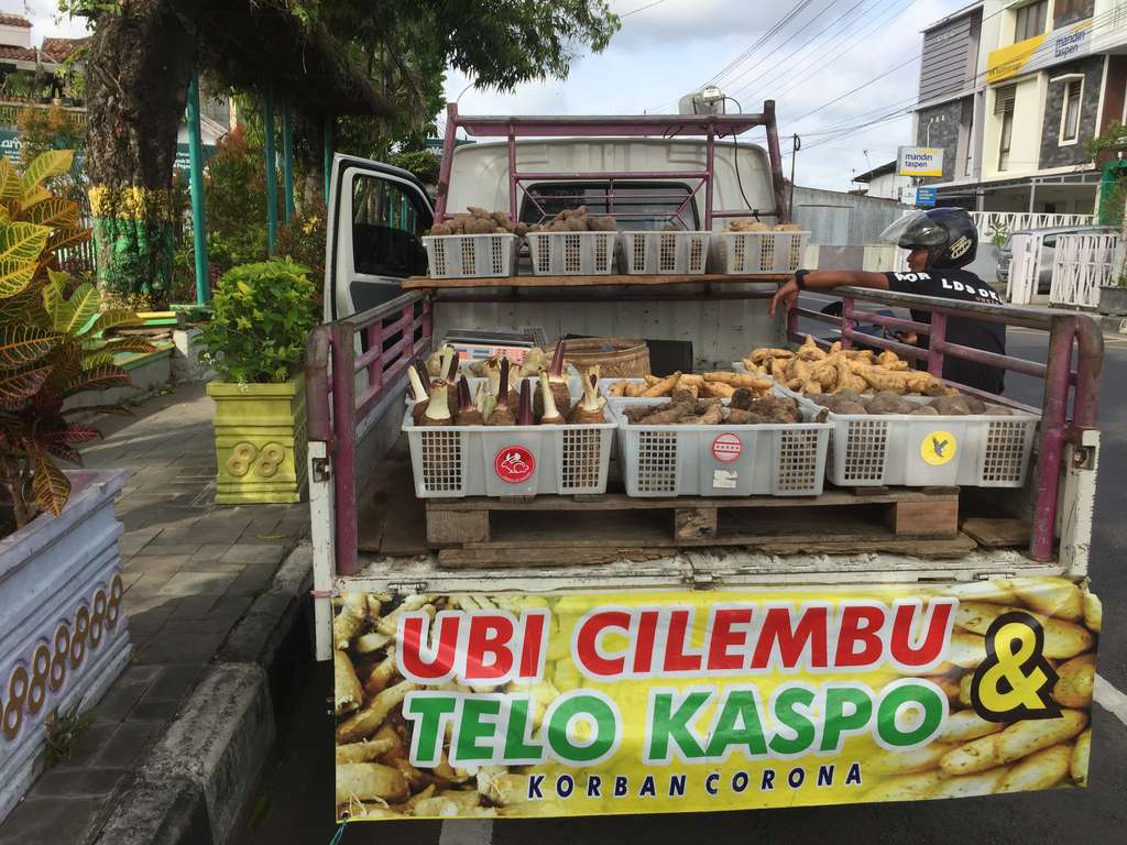 Bisnis UBI Cilembu
