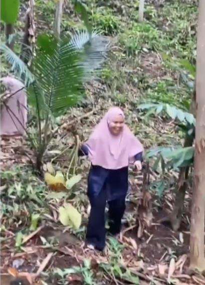 Mereka begitu gembira saat menemukan tanaman sultan Janda Bolong.