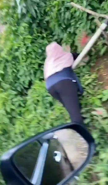 Mereka rela mencarinya di antara semak-semak di hutan.