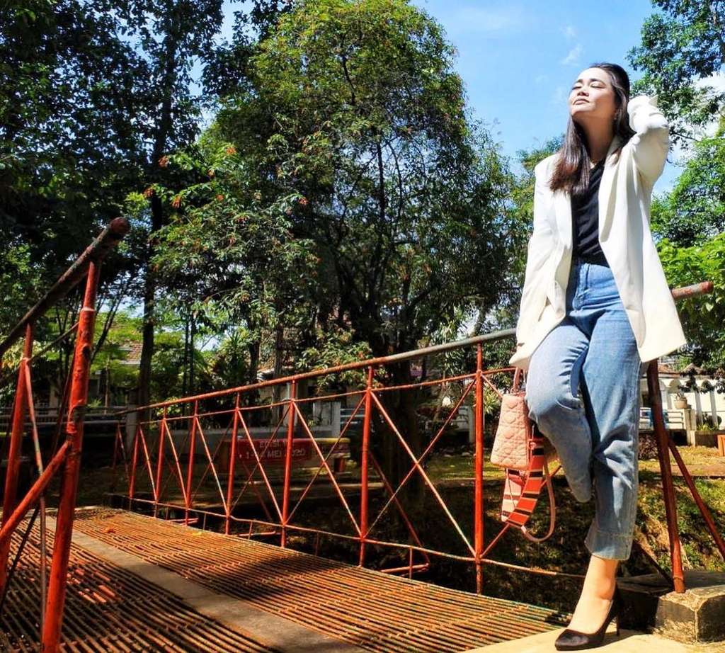 istri Denny Sumargo