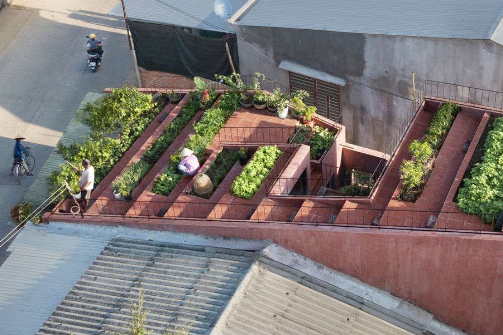 The Red Roof
