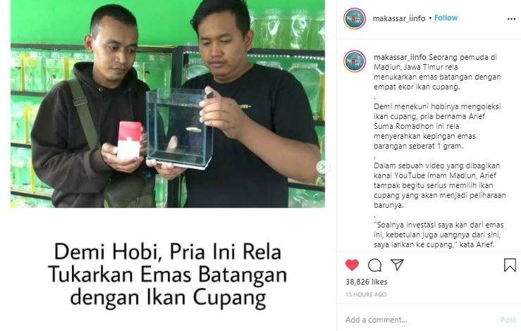 Pria ini menukar emas batangan untuk empat ekor ikan cupang.