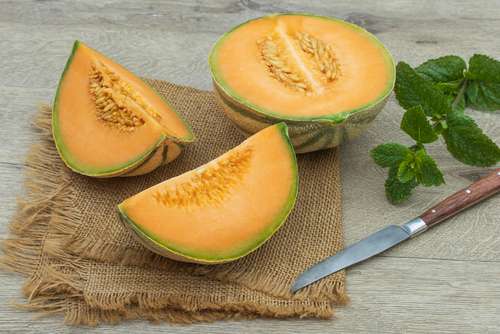 Melon Charentais