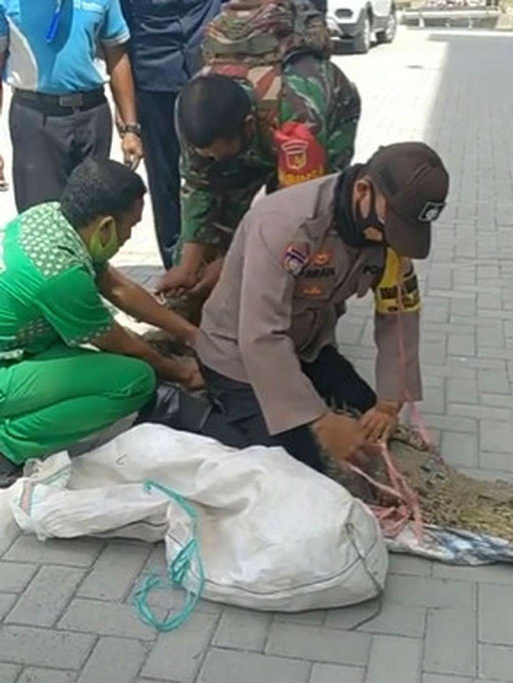 Penangkapan Buaya