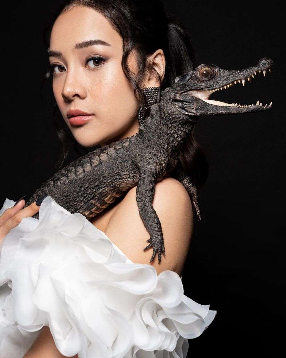 foto dengan hewan