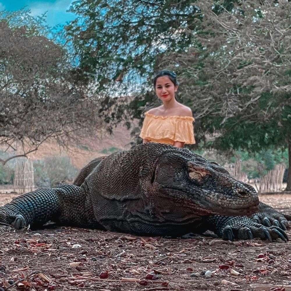 foto dengan hewan