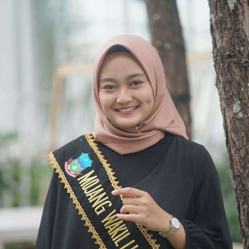 Seleb TikTok