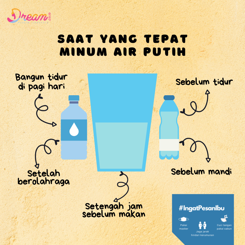 Infografis Dream.co.id
