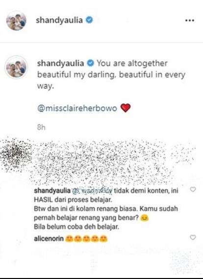 Balasan komentar Shandy Aulia ke netizen