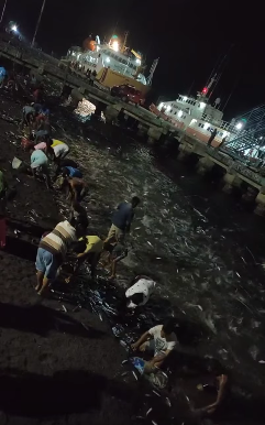 Ikan naik ke permukaan