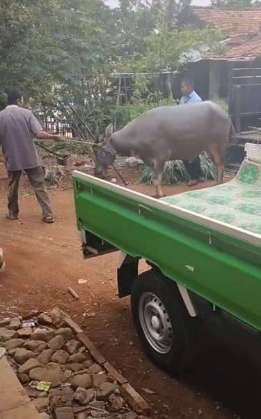 Seserahan satu ini memang istimewa.