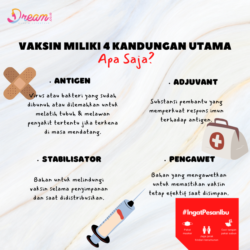 Infografis Dream.co.id