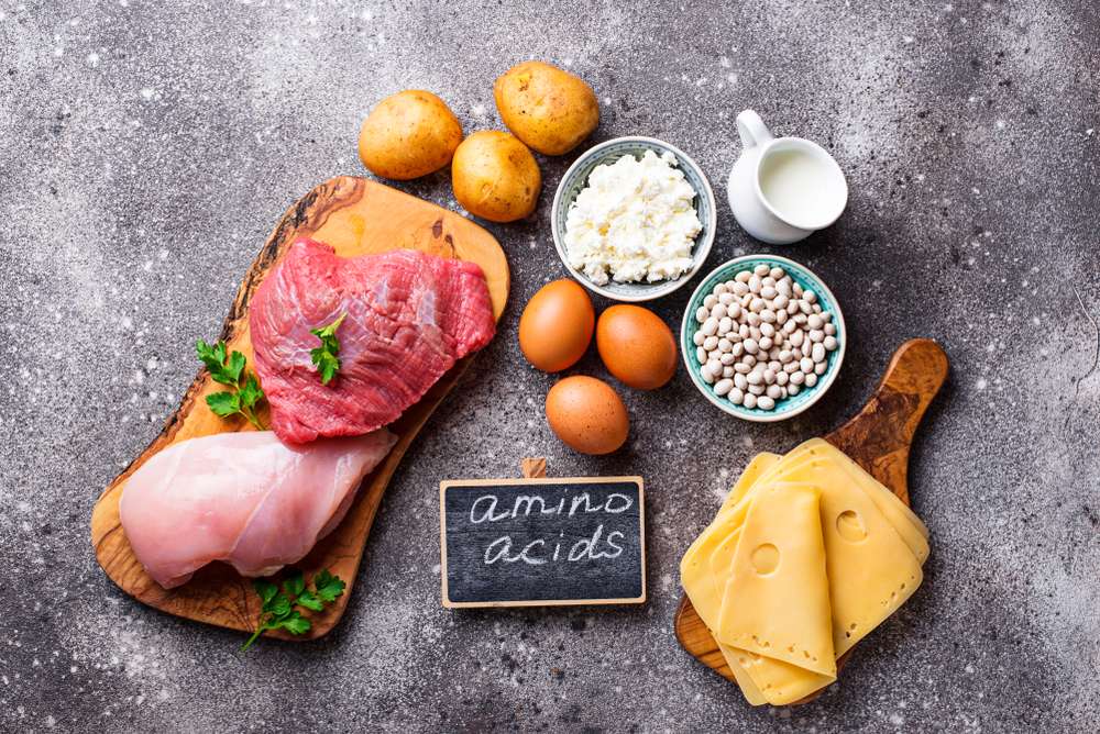 bahan makanan kaya akan asam amino