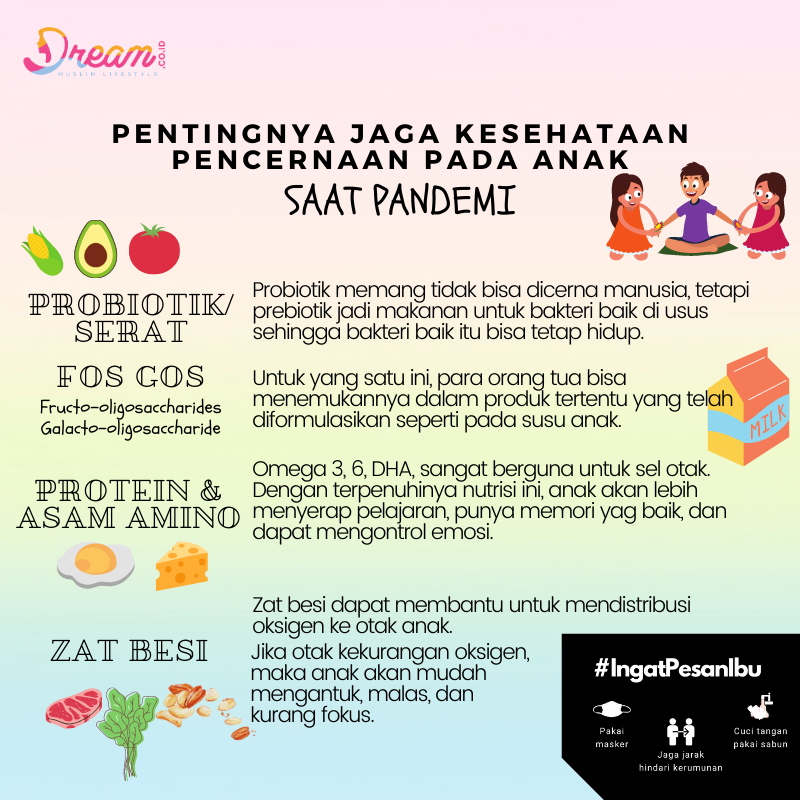 Infografis Dream.co.id
