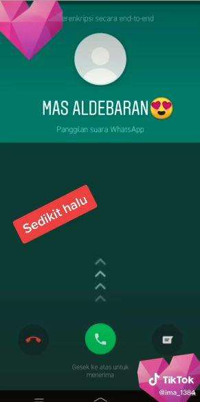 Tingkat halu-nya nggak ketulungan.