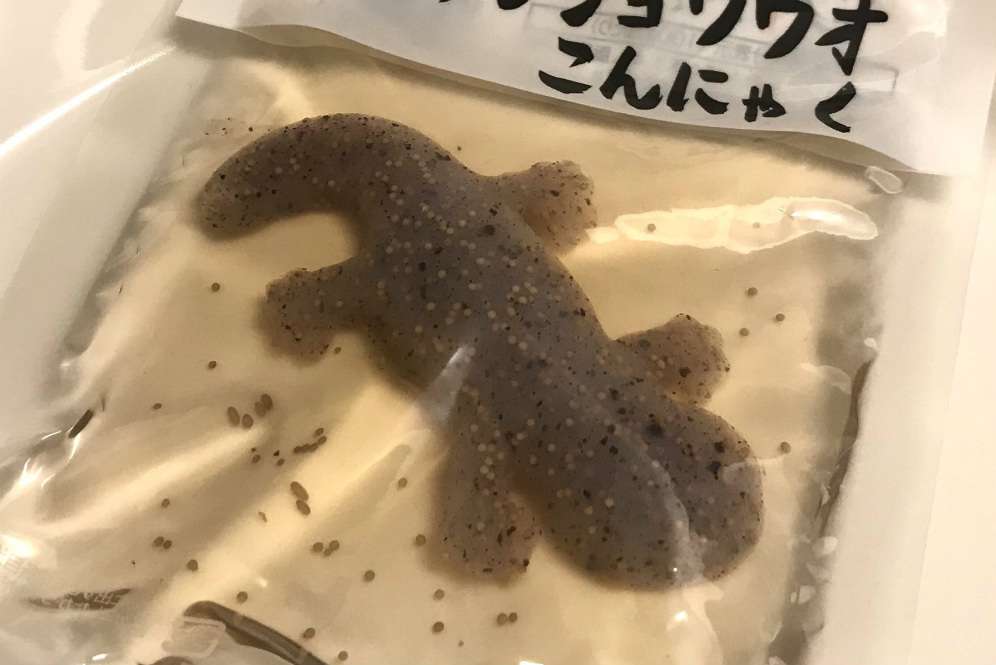 Cicak Konjac