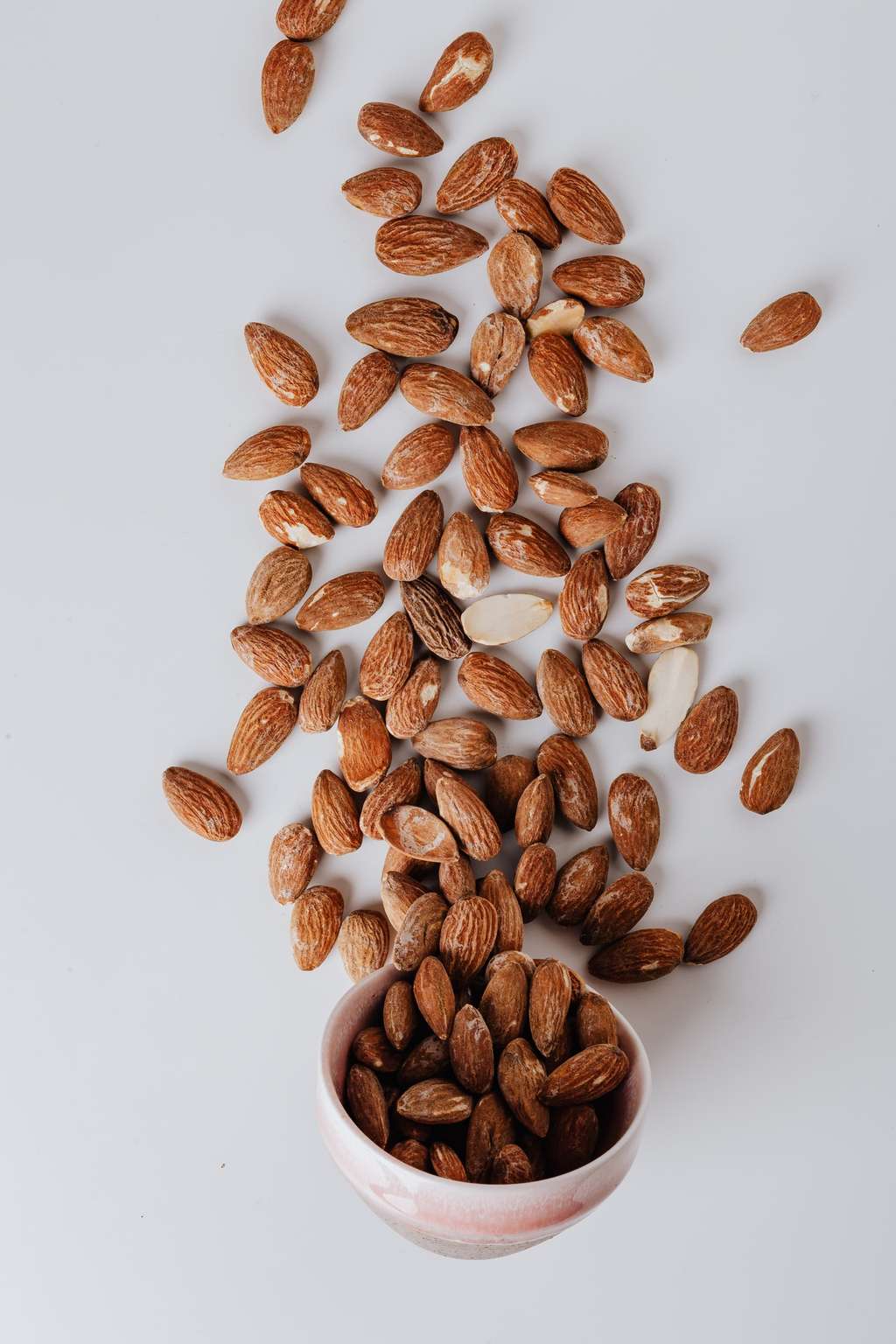 Kacang-kacangan