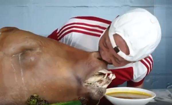 Menu cingur (hidung) sapi ekstrem.