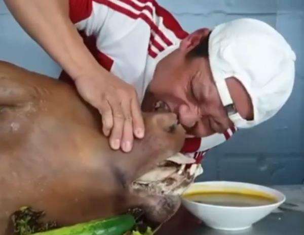 Dia terlihat lahap sekali saat menggigit cingur sapi tersebut.