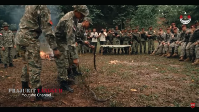 Latihan perang TNI AD dan US Army