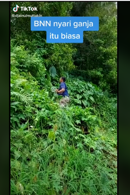 Petugas BNN