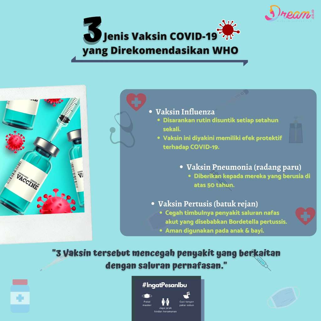 Infografis Dream.co.id