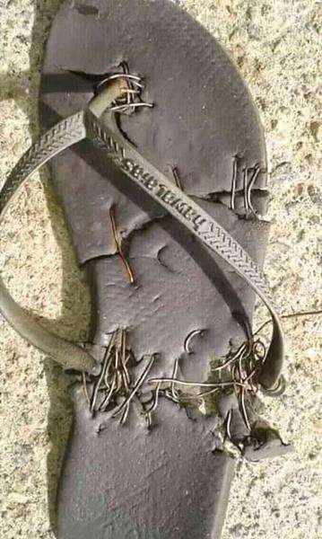 Pemilik irit, sandal jepit jadi korban.