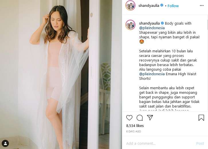 Shandy Aulia