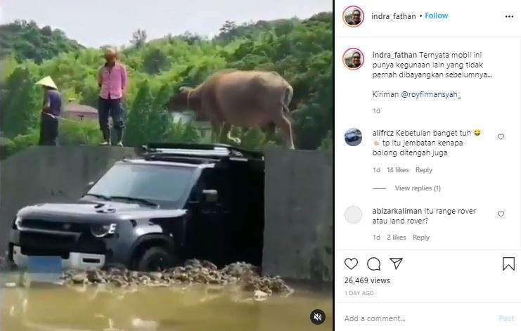 Seekor kerbau menyeberang jembatan dan dibantu oleh mobil mewah.