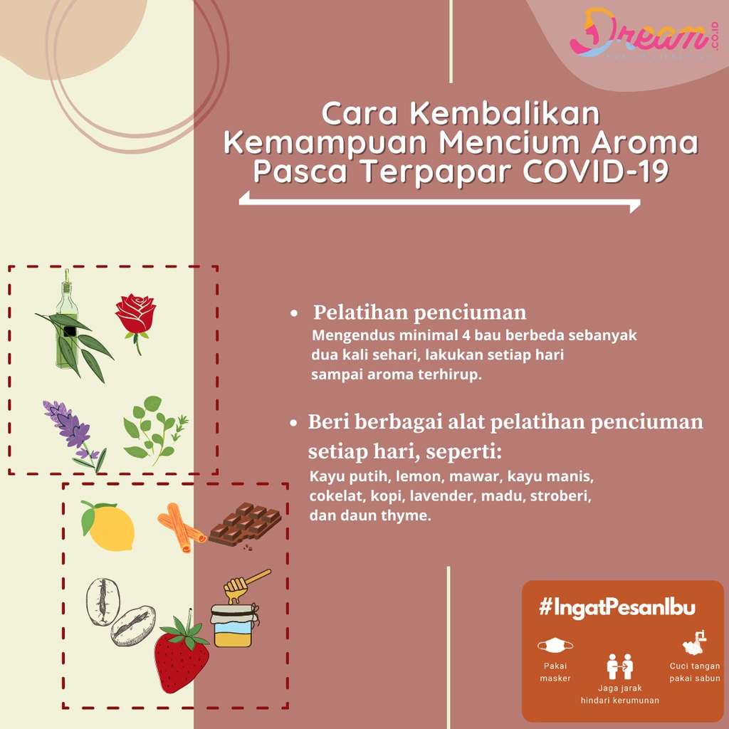 Infografis Dream.co.id Infografis Dream.co.id