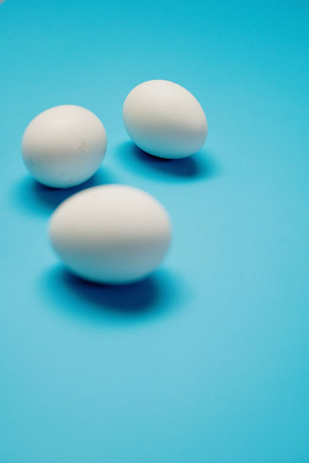 Telur