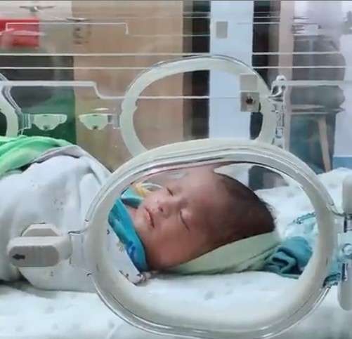 Ali putra pertama Vebby Palwinta