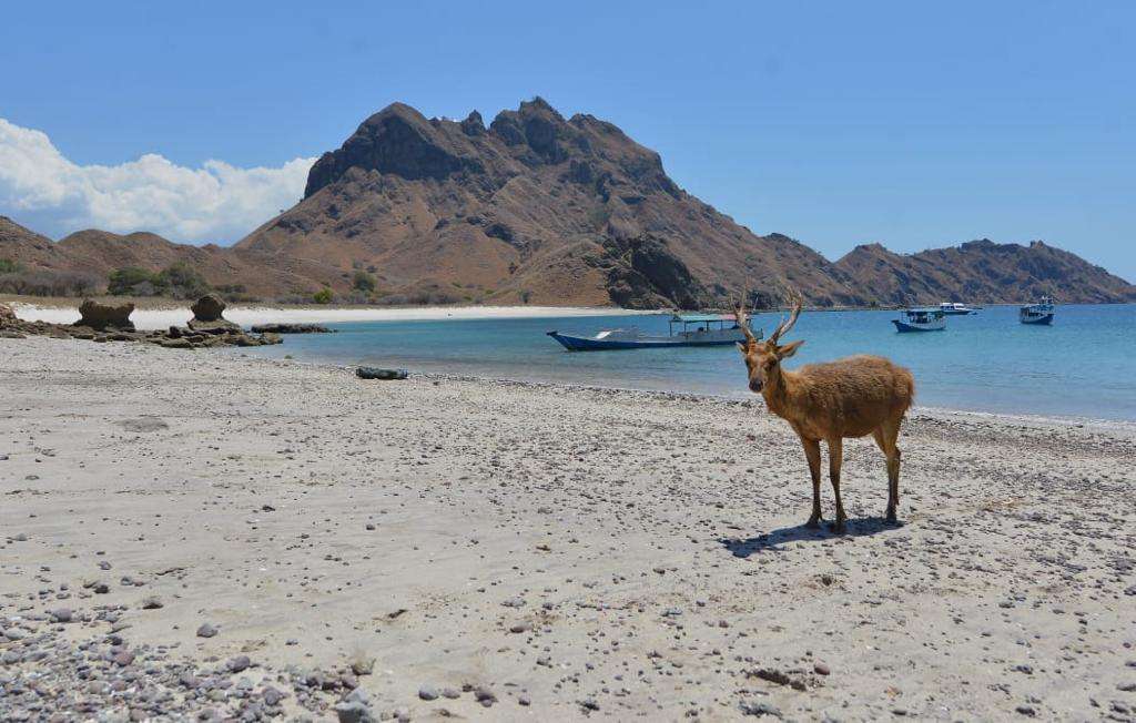 Labuan Bajo