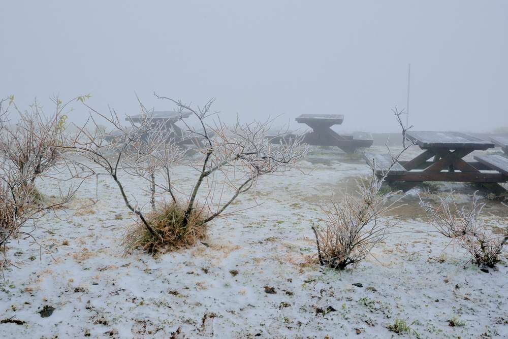 Indahnya Taiwan Berbalut Salju, Yuk Jadi Saksinya Saat Pandemi Berakhir