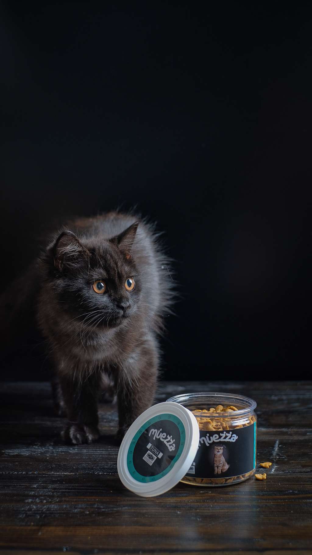 Dari Tatapan Tajam hingga Kedipan, Pandangan Mata Kucing Juga Ada Artinya Lho